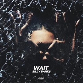 Wait BillboardBilly