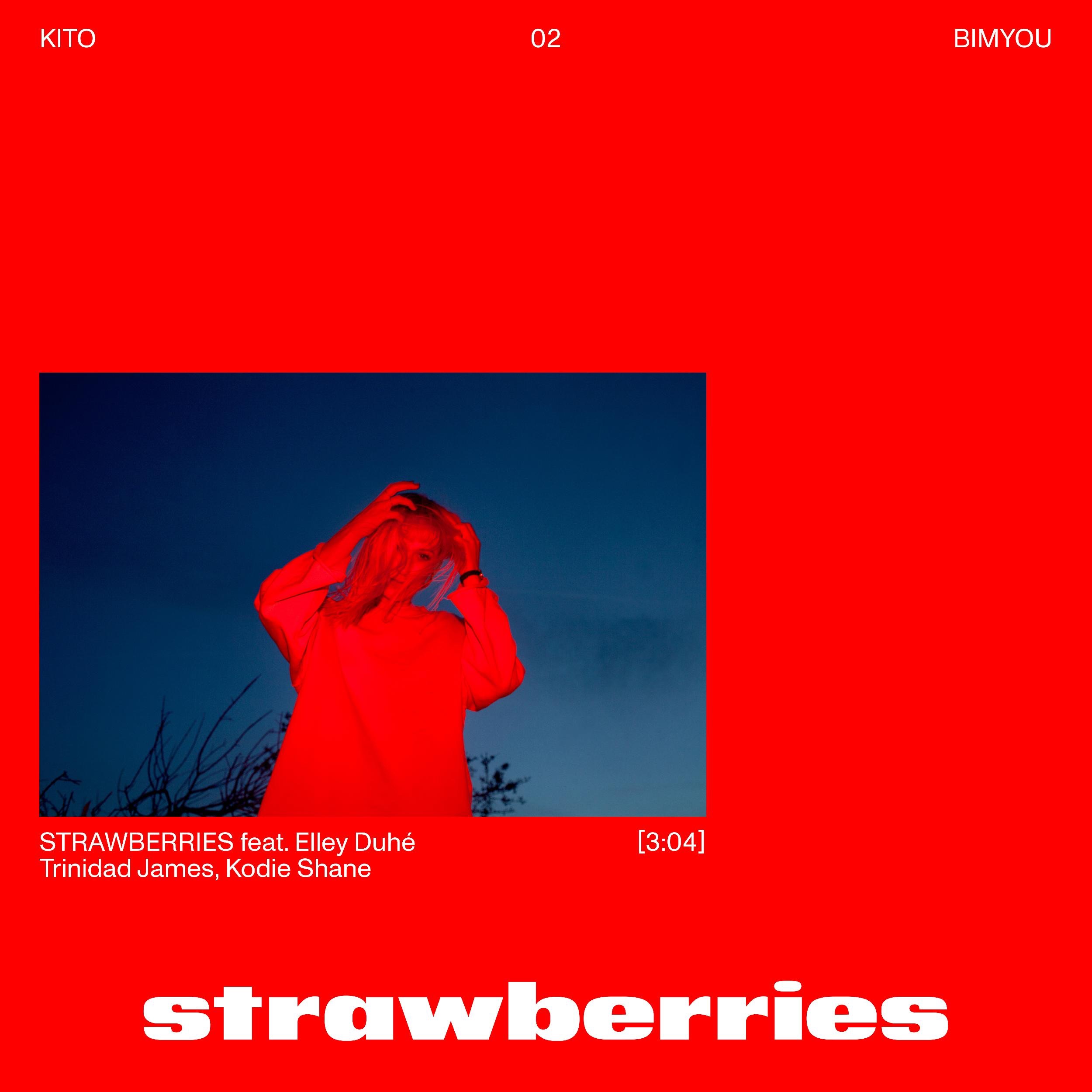 Strawberries (feat. Elley Duhé, Trinidad James & Kodie Shane) - Single