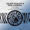Julien Scalzo - It's You (Boogie Pimps Remix)