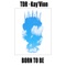 Born to Be (feat. Kay'vion) - TDR lyrics