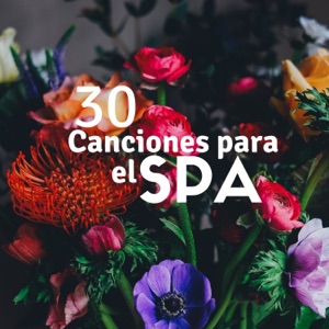 30 Canciones para el Spa: Sonidos de la Naturaleza, Lluvia, Sonidos del Mar, Música para Masajes