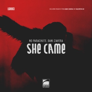 She Came (Dani Zavera Remix)