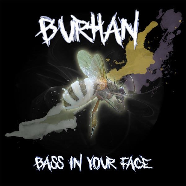 Bass in Your Face - Single