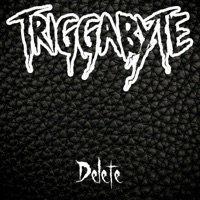 Delete - Single - Triggabyte
