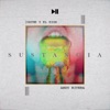 Sustancia - Single