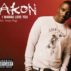 I Wanna Love You - Single (Live From Canal Room) - Single - Akon