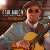 Pick Somebody Up - Raul Midón, Metropole Orkest & Vince Mendoza