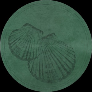 Pecten