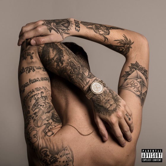 Cover artwork for Flakk's Plan