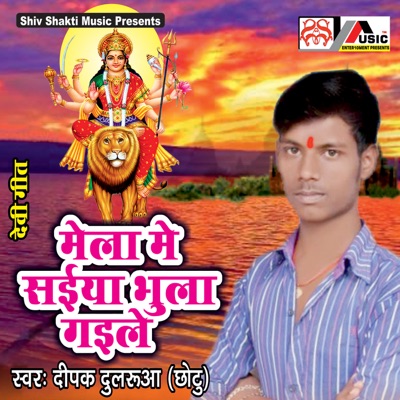 Mela Mein Saiyan Bhula Gaile - Single