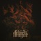 A Dying God Coming into Human Flesh - Black Tongue lyrics
