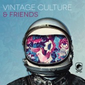 Vintage Culture and Friends artwork