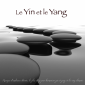 Le Yin et le Yang : Musique d'ambiance détente, les flux de qi pour harmoniser yin et yang et les cinq éléments - Coffret Relais