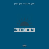 In the a.M. (feat. Taylor Krom) - Single - Cary Hays