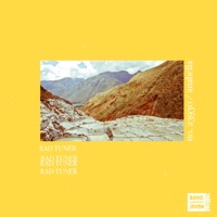 No. 23930/Anabella - Single - bad tuner