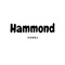 Hammond - Vanoj lyrics