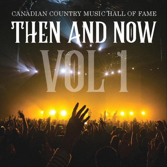 Cover artwork for Take It Like a Man (feat. Jess Moskaluke)