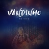 Vandinho (Ao Vivo)