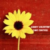 Randy Valentine - Take Control