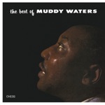 Muddy Waters - I Just Want to Make Love to You