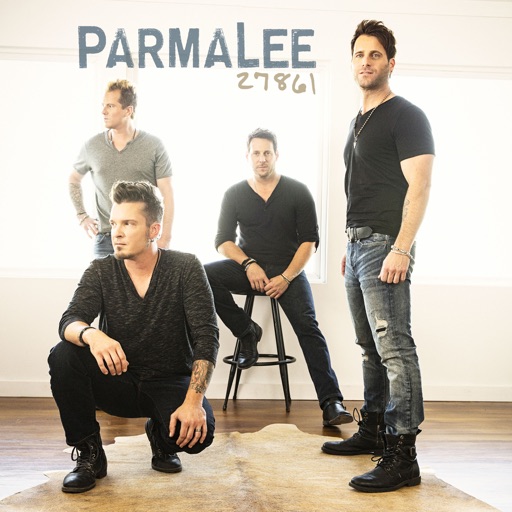 Art for Hotdamalama by Parmalee