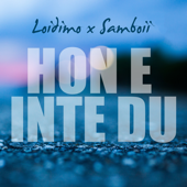 Hon e inte du (feat. Samboii) - Loidimo