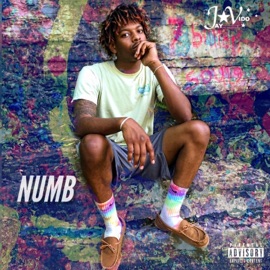 Numb Jay Vido