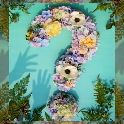 ? (Question Mark) [feat. PLZY & JOMALONE] - Single