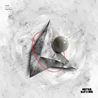 The Invisible Invaders — LAXX