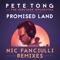 Promised Land (feat. Disciples) - Pete Tong, The Heritage Orchestra & Jules Buckley lyrics