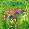 Wild - Single, 2017