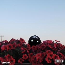 Fractured (feat. Divine) Brothel