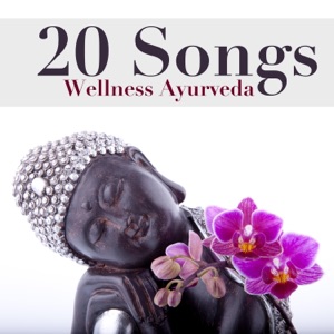 20 Songs from the Secret World of Wellness Ayurveda: Ancient India Music and Meditation Music