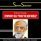 Special Selection / Antonin Dvorák: Symphony No. 9 in E Minor, Op. 95 "From the New World" artwork