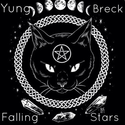 Falling Stars - Single