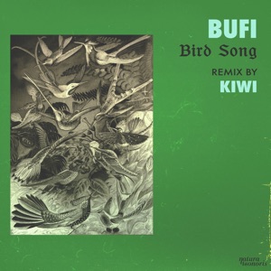 Bird Song - Single