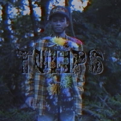 Tulips - Single