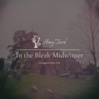In the Bleak Midwinter - Single - Amy Turk