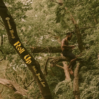 Roll Up (feat. Domi Lee) - Single