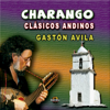 Charagua - Gaston Avila