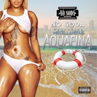 Aquafinna (feat. Miscellanous) - Single - No Soda