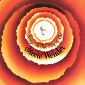Isn't She Lovely - Stevie Wonder Cover Art