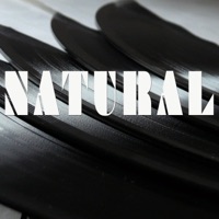 Natural (Originally Performed by Imagine Dragons) [Instrumental] - Single - Vox Freaks