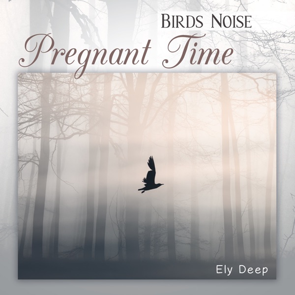 Birds Noise (Pregnant Time)