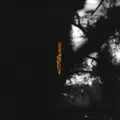 Avalanche