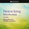 Tim Brent: Peace Song (Beatitudes) - Single