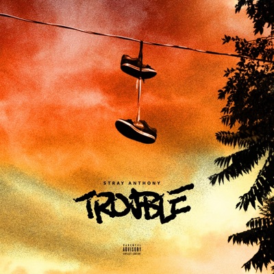 Trouble - Single