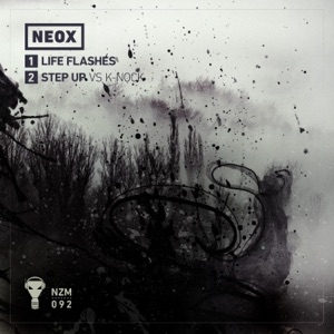 Life Flashes - Single