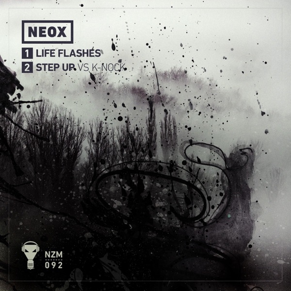 Life Flashes - Single