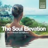 The Soul Elevation: For a Moment of Reflection